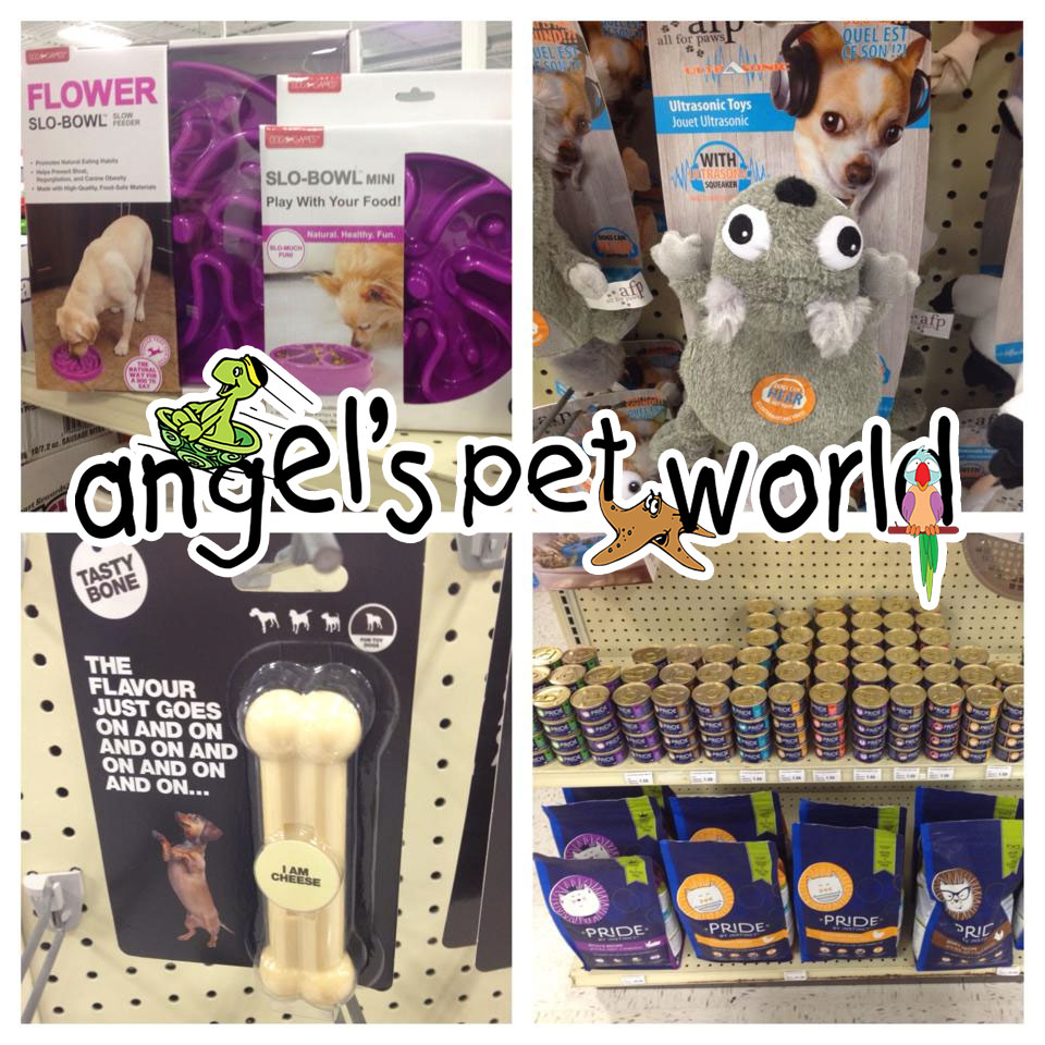 AngelsPetWorld_Toys