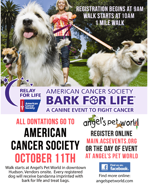 Bark for Life, American Cancer Society, Fundraiser