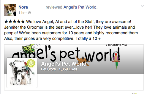 AngelsPetWorld_Review_OnlineReview_DogFood