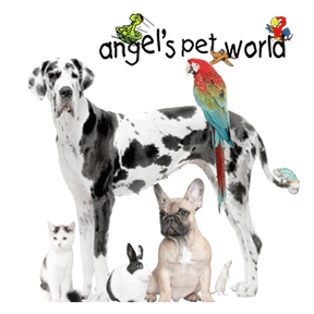 //angelspetworld.com/wp-content/uploads/2016/05/Angels_Pet_World_Pet-supply.png