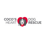 Cocos_Heart_Dog_Rescue_Adoption_Dog_Rescue_Cat_Recsue_Adopt_Pet