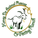 Honey-do-ranch-animal-rescue