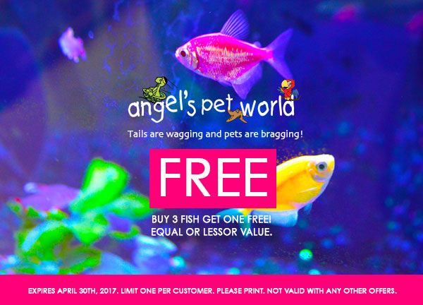 fish-food-buy-fish-pet-supply-hudson-angels-pet-world