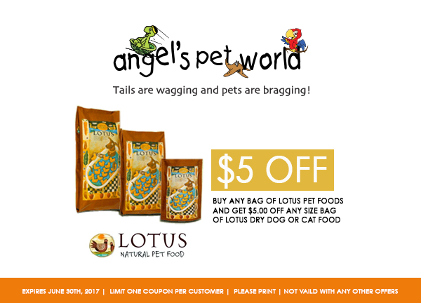 Lotus-Angels-pet-world-pet-supply-hudson