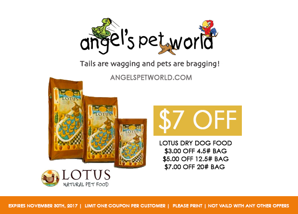 Dry dog food-Lotus-Angels-pet-world-pet-supply-hudson