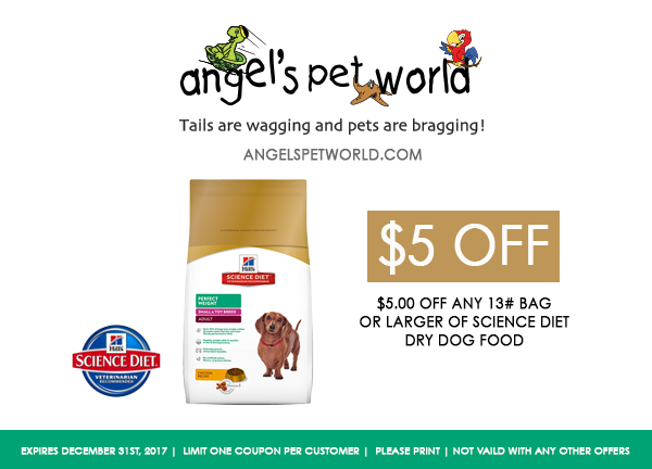 Dry Dog Food Science Diet pet food angels pet world pet supplies hudson wi
