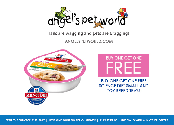 small breed trays Science Diet pet food angels pet world pet supplies hudson wi