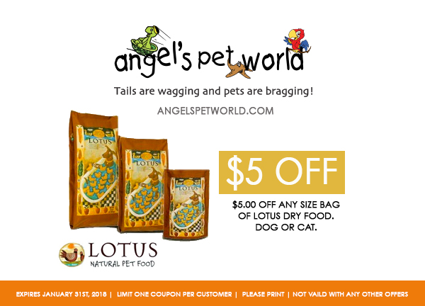 Dry dog food-Lotus-Angels-pet-world-pet-supply-hudson