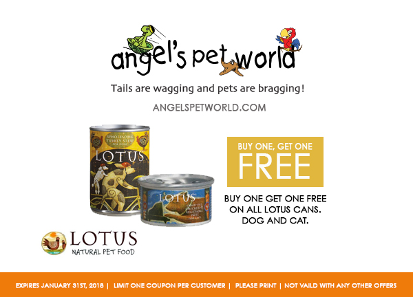 buy-one-get-two-Lotus-Angels-pet-world-pet-supply-hudson