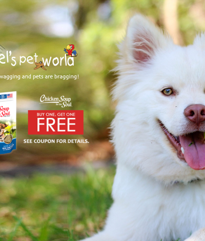Chicken Soup for the Soul Dog Treats