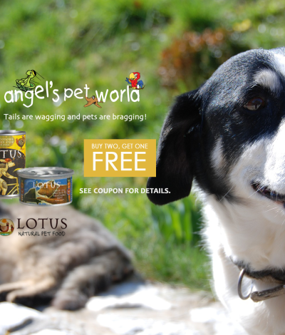 Lotus Dog and Cat Cans