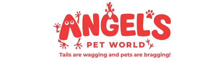 Cat Products – The Angels Pet Store