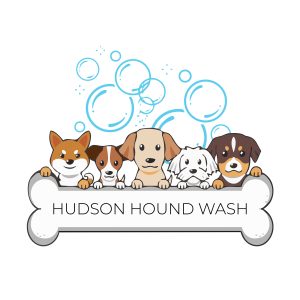 Hudson-Hound-Wash-Logo