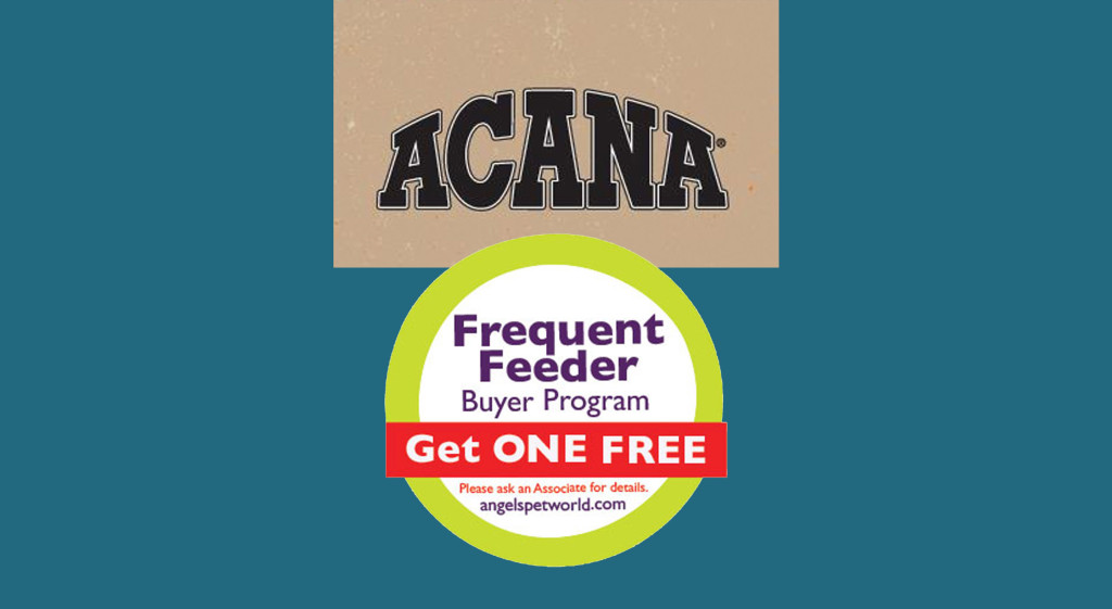 Acana Dog Food Angels Pet World