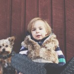 AMAZING ANIMALS - FREE SEMINAR - DOGS