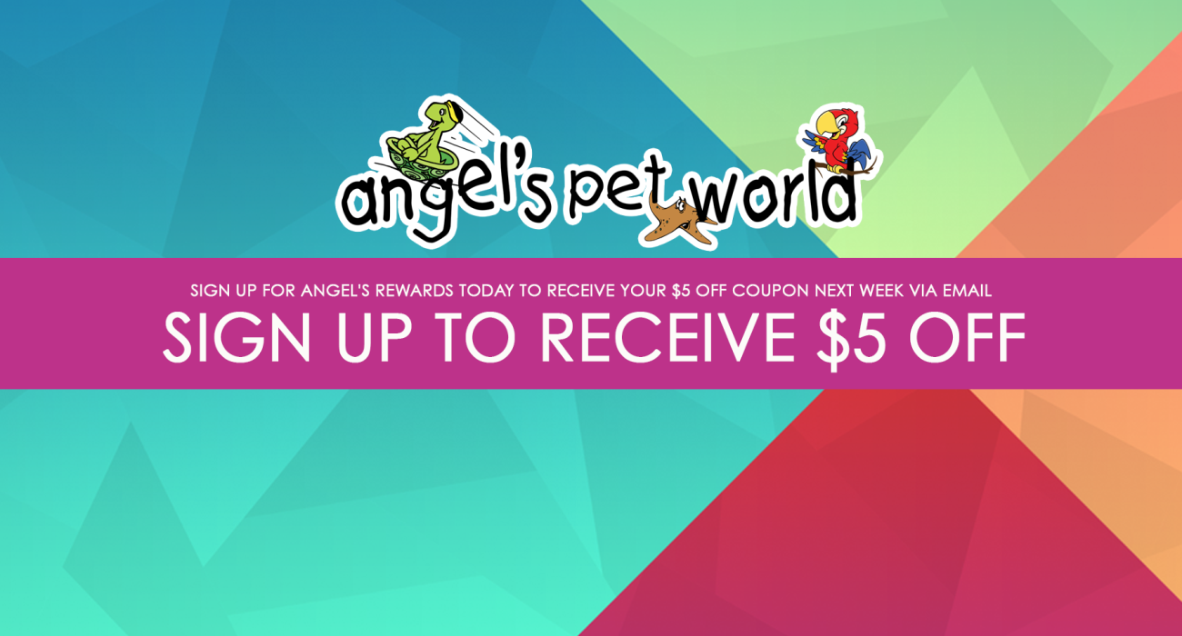 5 Off Angel S Rewards Angels Pet World
