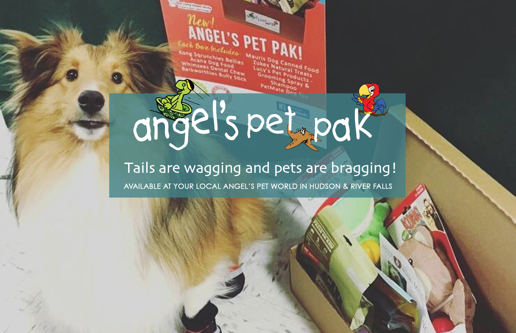 Angel's Pet Pak - Angel's Pet World