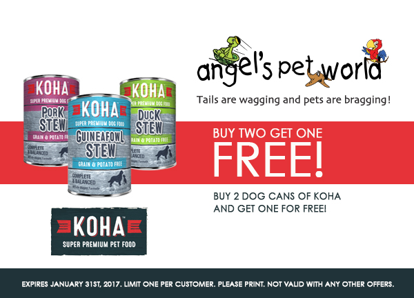 Koha Dog Cans Buy Two get one Free! Angels Pet World