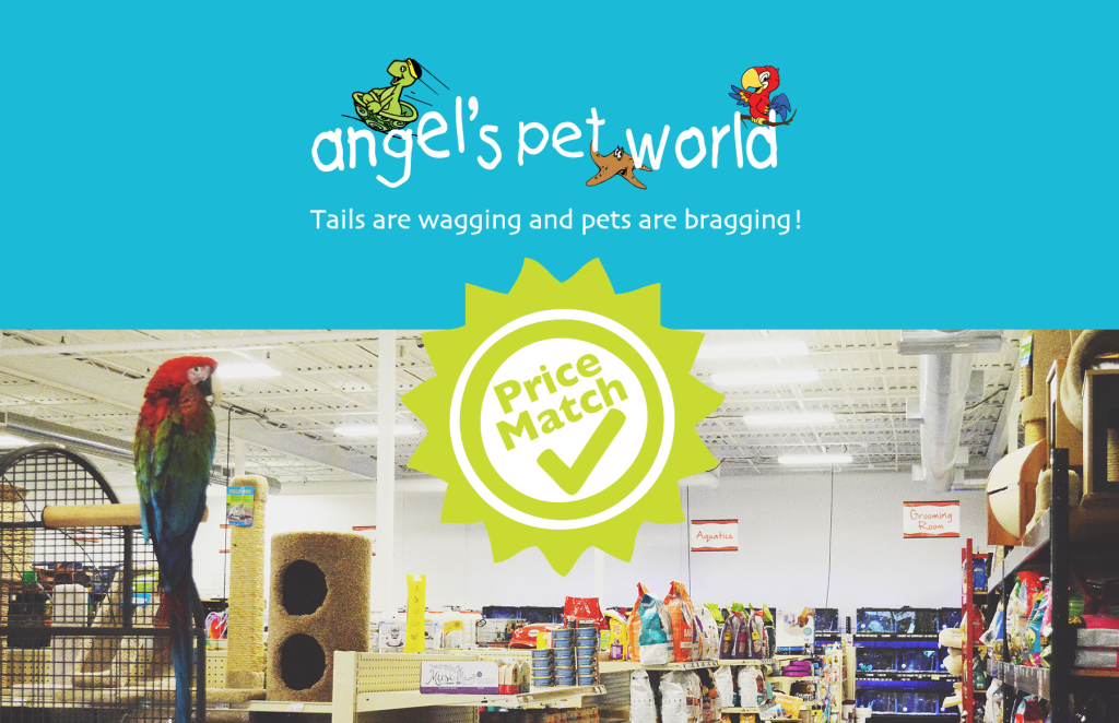 pricematchangelspetworldpetsupplyhudsonangelspetworld Angel