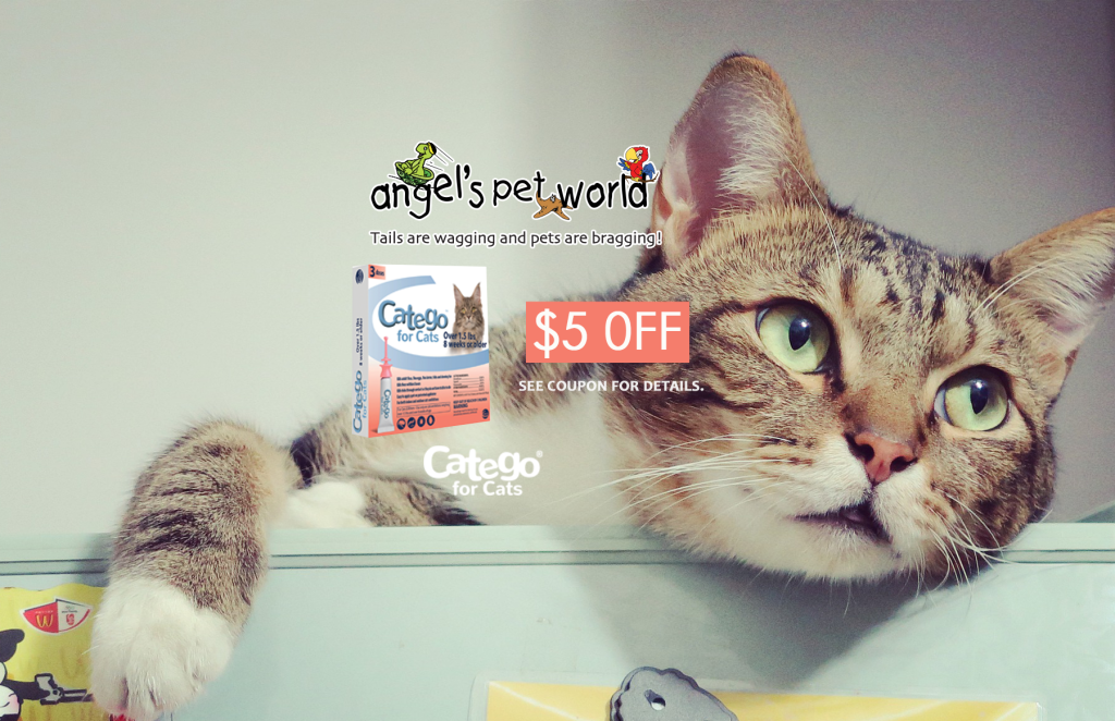 Catego for Cats Angel's Pet World
