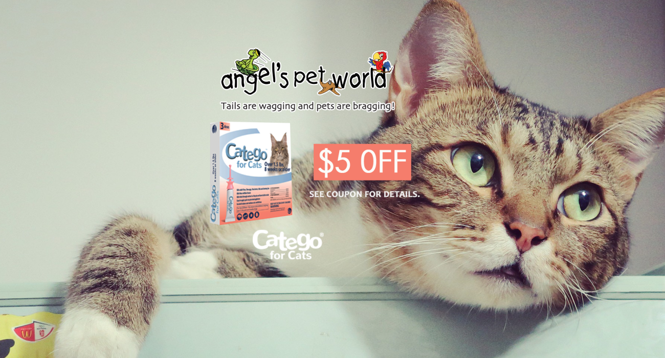 Catego for Cats Angel's Pet World