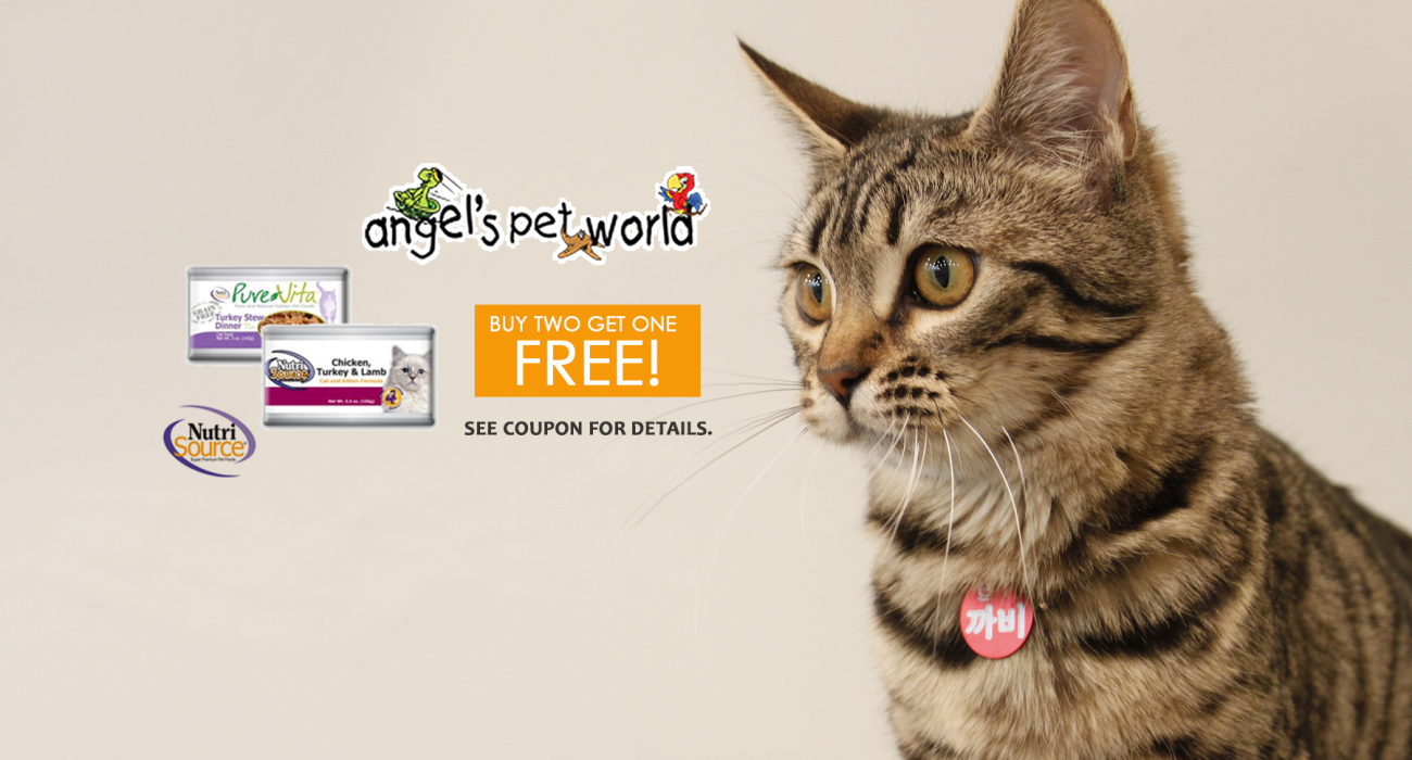 Nutri Source and Pure Vita Cat Food - Angel's Pet World