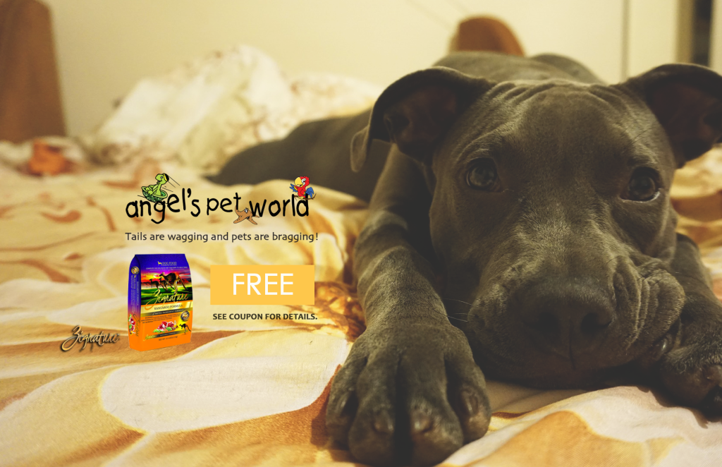 Zignature Dog Food Angel's Pet World Pet Supplies