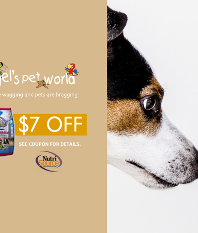 NutriSource Grain-Free Select dog or cat food