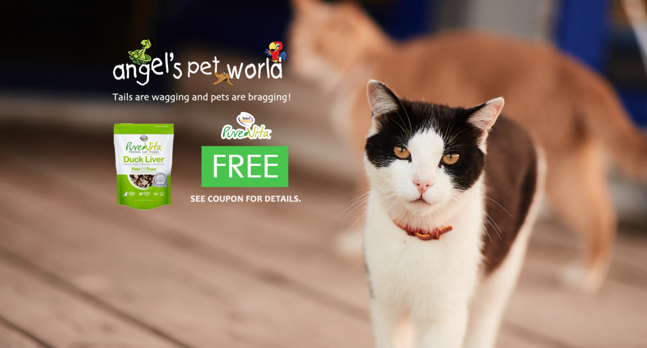 Buy any NutriSource or PureVita cat formulas and get a free bag of freeze dried cat treats.