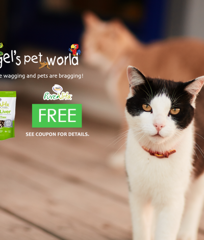 Buy any NutriSource or PureVita cat formulas and get a free bag of freeze dried cat treats.