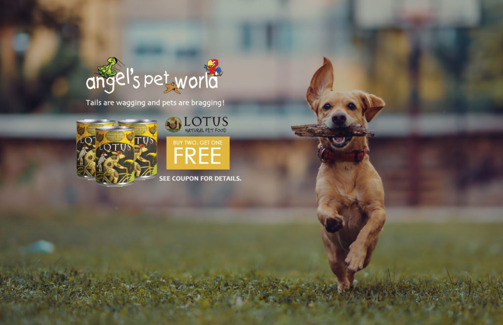 Lotus Canned Dog Food Angel's Pet World in Hudson and River Falls