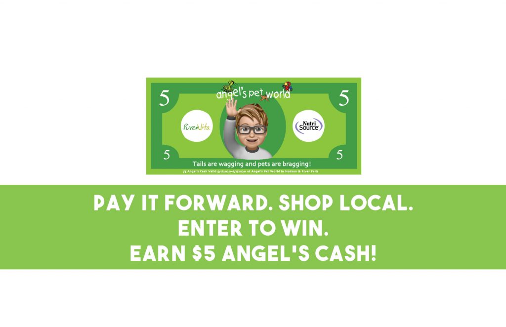 AngelsCASHpetfoodpetsupplyangelspetworldhudsonwi2 Angel's