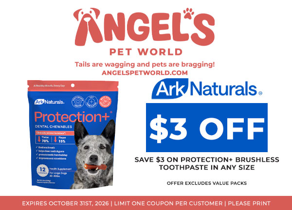 Protection+ Brushless Toothpaste